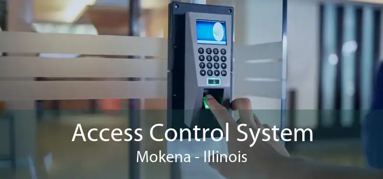 Access Control System Mokena - Illinois