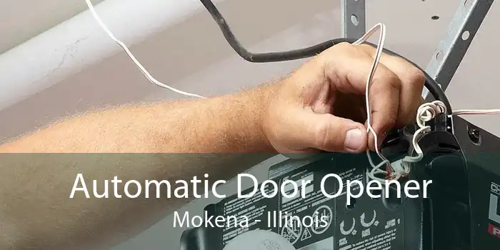 Automatic Door Opener Mokena - Illinois