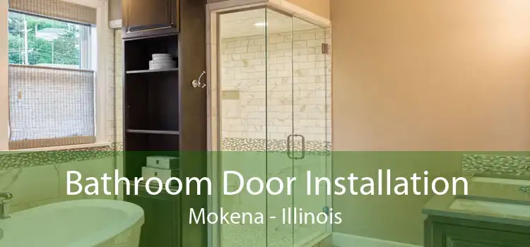 Bathroom Door Installation Mokena - Illinois