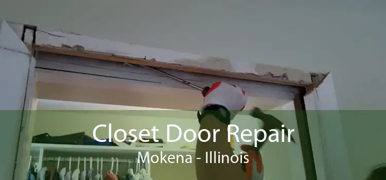 Closet Door Repair Mokena - Illinois