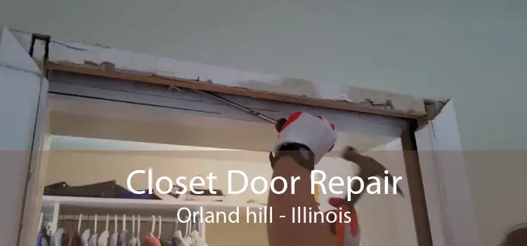 Closet Door Repair Orland hill - Illinois