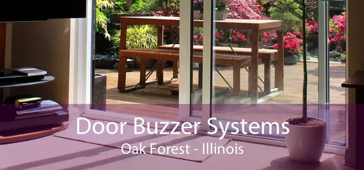 Door Buzzer Systems Oak Forest - Illinois