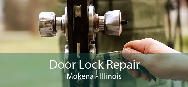 Door Lock Repair Mokena - Illinois