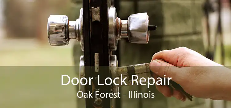 Door Lock Repair Oak Forest - Illinois