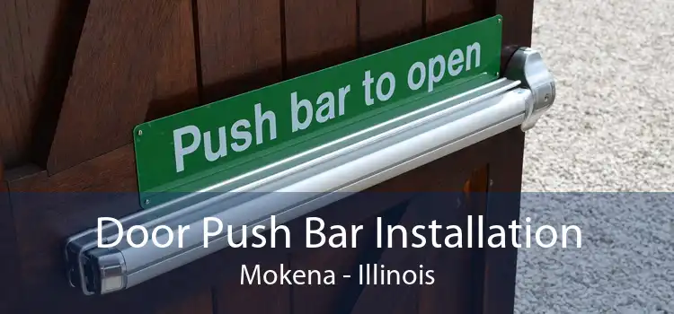 Door Push Bar Installation Mokena - Illinois