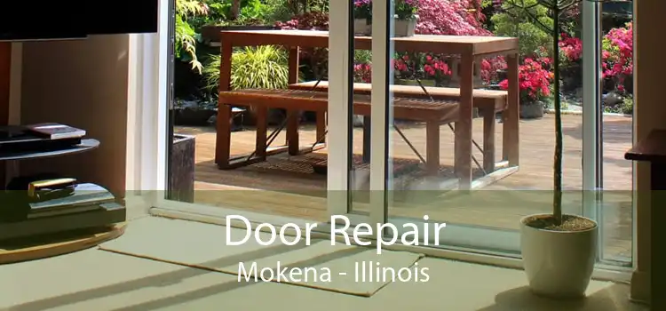 Door Repair Mokena - Illinois