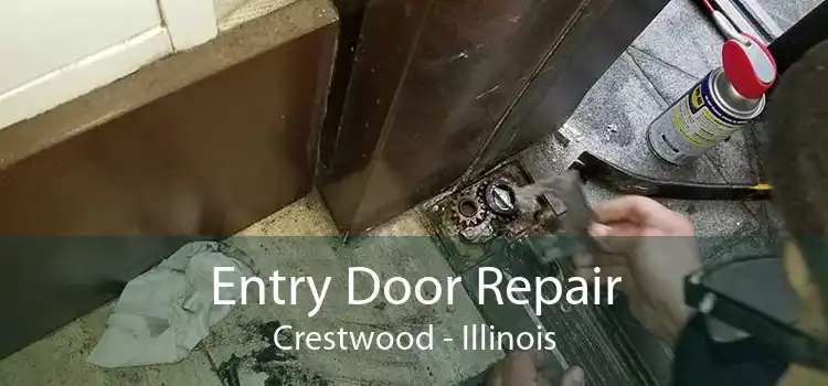 Entry Door Repair Crestwood - Illinois