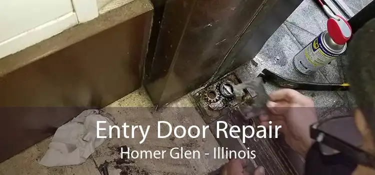 Entry Door Repair Homer Glen - Illinois