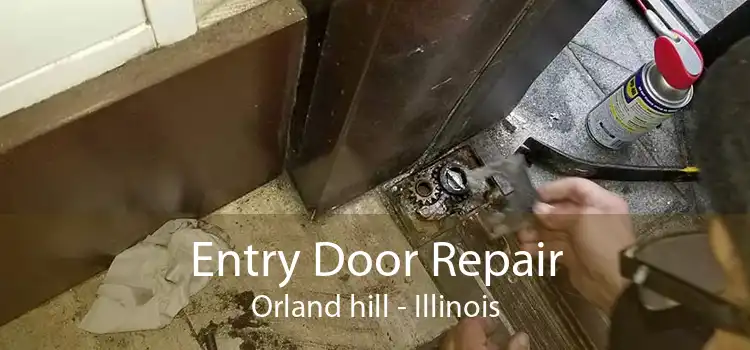 Entry Door Repair Orland hill - Illinois