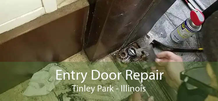 Entry Door Repair Tinley Park - Illinois