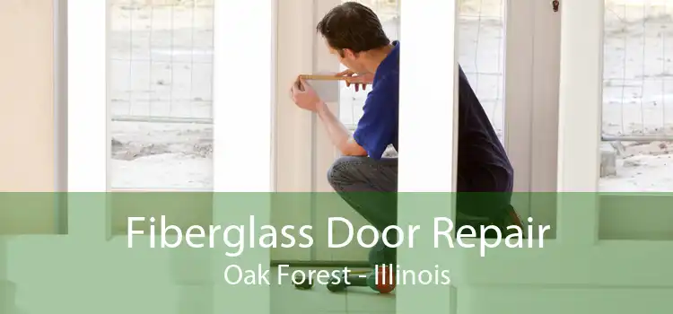 Fiberglass Door Repair Oak Forest - Illinois