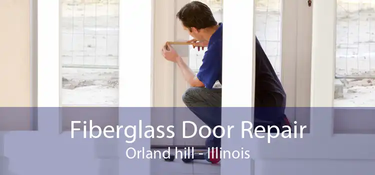 Fiberglass Door Repair Orland hill - Illinois