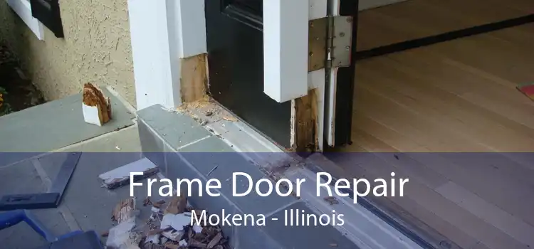 Frame Door Repair Mokena - Illinois