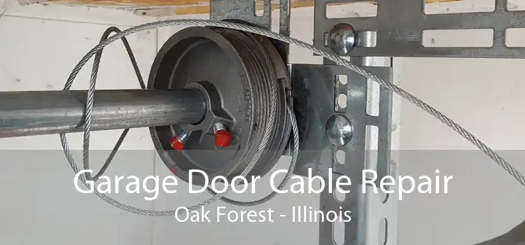 Garage Door Cable Repair Oak Forest - Illinois