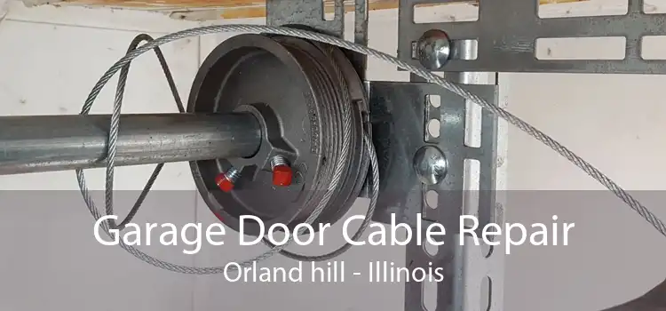 Garage Door Cable Repair Orland hill - Illinois