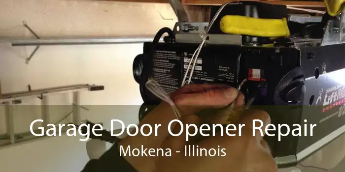 Garage Door Opener Repair Mokena - Illinois