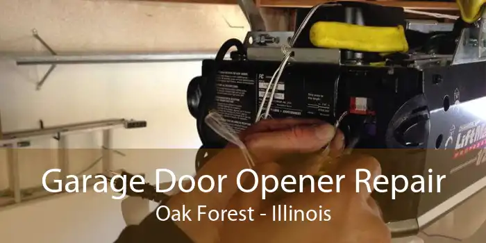 Garage Door Opener Repair Oak Forest - Illinois