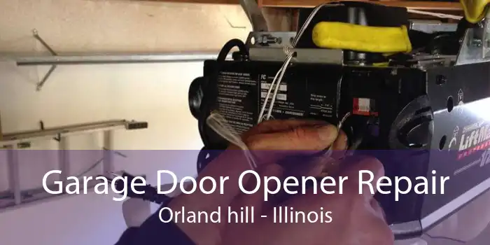 Garage Door Opener Repair Orland hill - Illinois