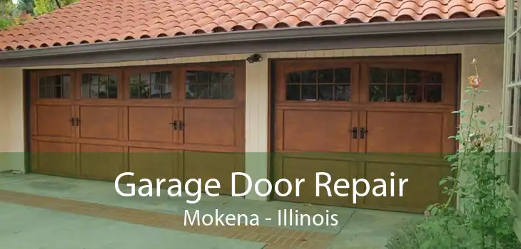 Garage Door Repair Mokena - Illinois