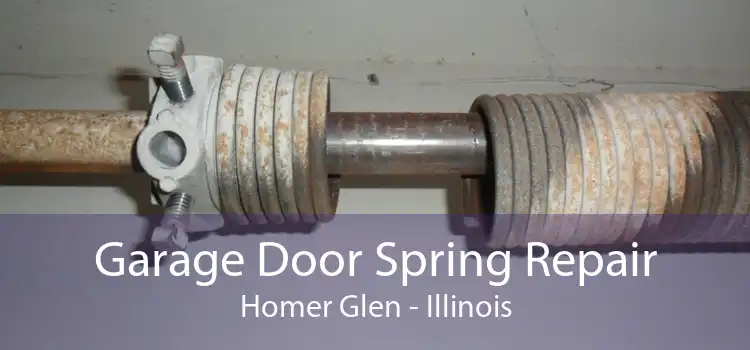 Garage Door Spring Repair Homer Glen - Illinois