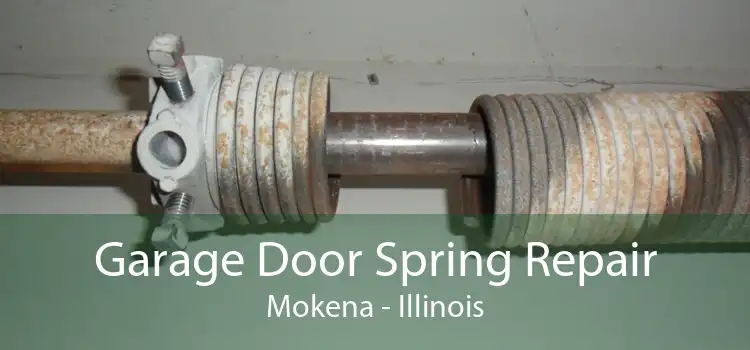 Garage Door Spring Repair Mokena - Illinois