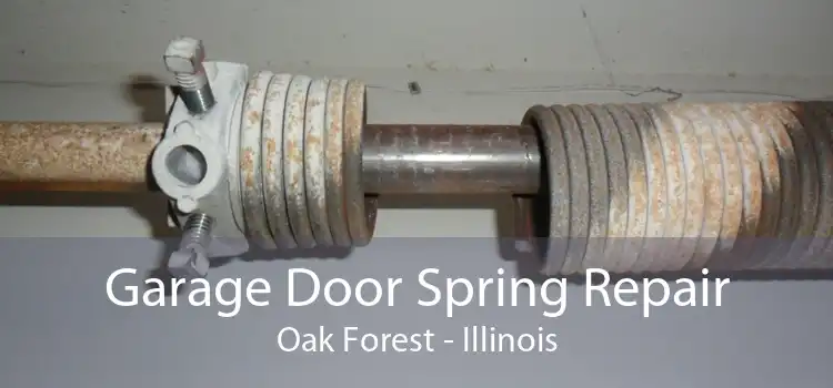 Garage Door Spring Repair Oak Forest - Illinois