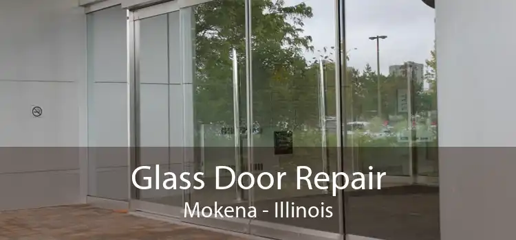 Glass Door Repair Mokena - Illinois