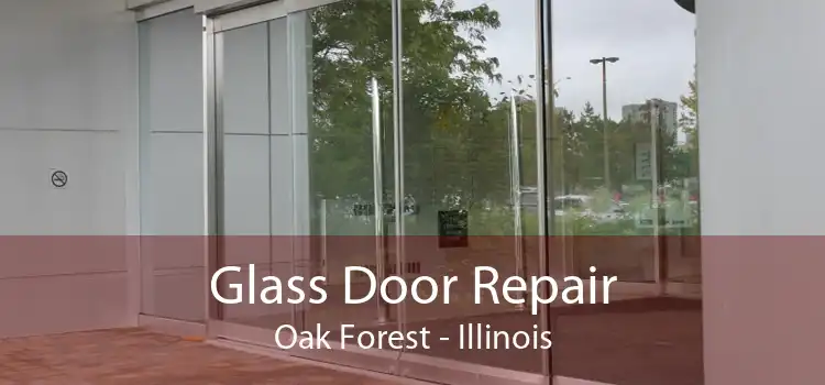 Glass Door Repair Oak Forest - Illinois