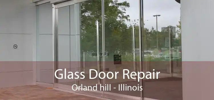 Glass Door Repair Orland hill - Illinois