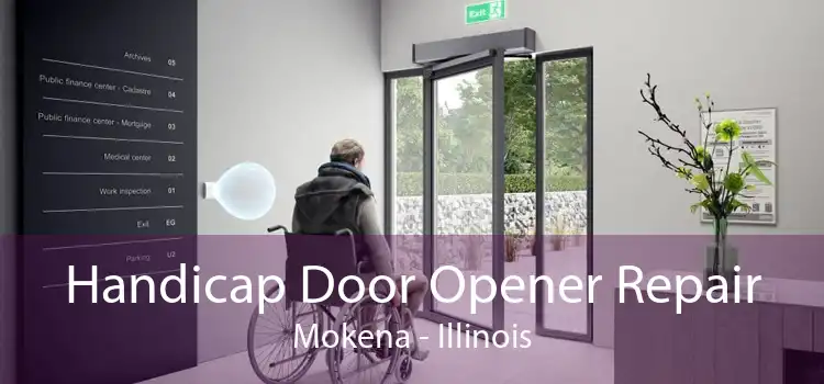 Handicap Door Opener Repair Mokena - Illinois