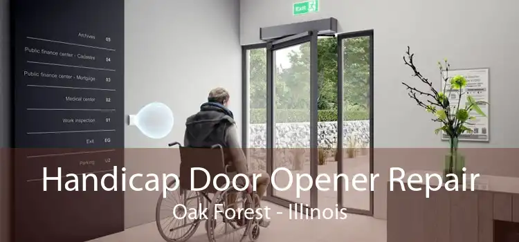 Handicap Door Opener Repair Oak Forest - Illinois