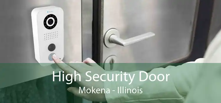 High Security Door Mokena - Illinois