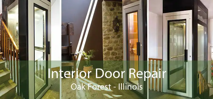 Interior Door Repair Oak Forest - Illinois