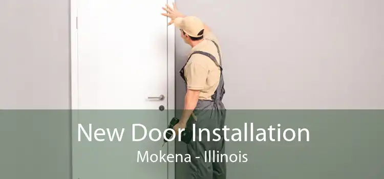 New Door Installation Mokena - Illinois