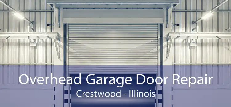 Overhead Garage Door Repair Crestwood - Illinois