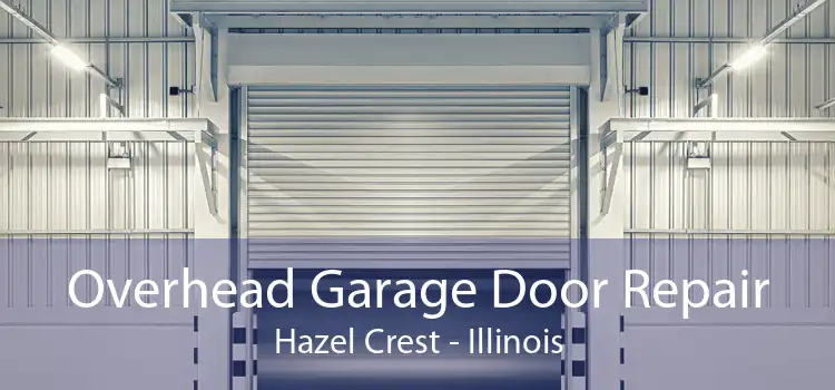 Overhead Garage Door Repair Hazel Crest - Illinois