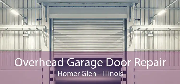 Overhead Garage Door Repair Homer Glen - Illinois