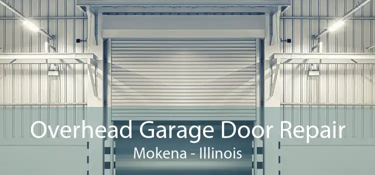 Overhead Garage Door Repair Mokena - Illinois