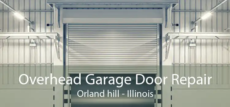 Overhead Garage Door Repair Orland hill - Illinois