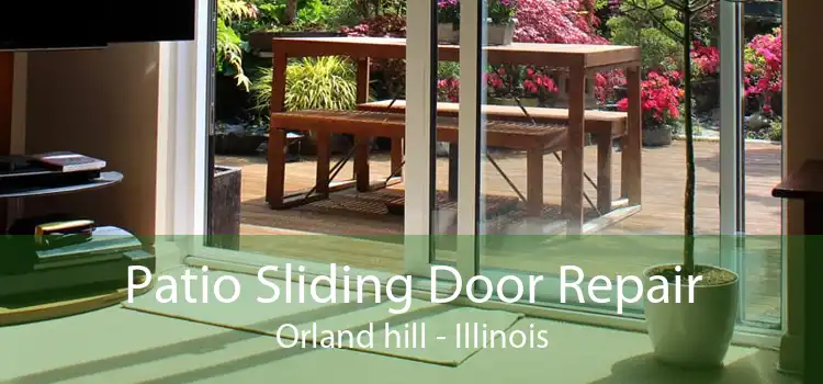 Patio Sliding Door Repair Orland hill - Illinois