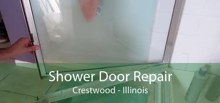 Shower Door Repair Crestwood - Illinois