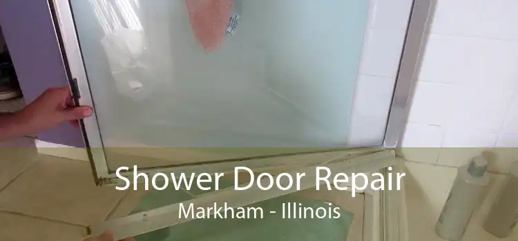 Shower Door Repair Markham - Illinois