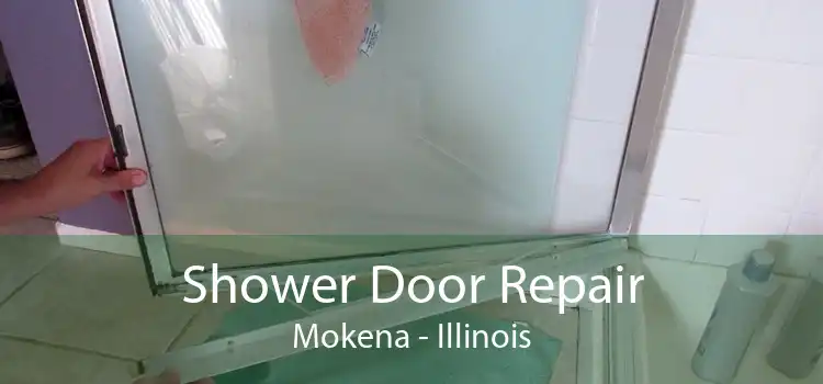 Shower Door Repair Mokena - Illinois