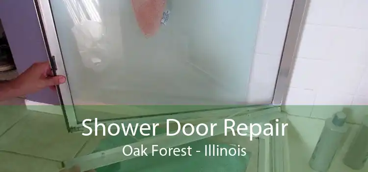 Shower Door Repair Oak Forest - Illinois