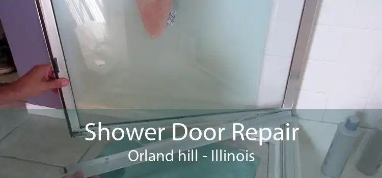 Shower Door Repair Orland hill - Illinois