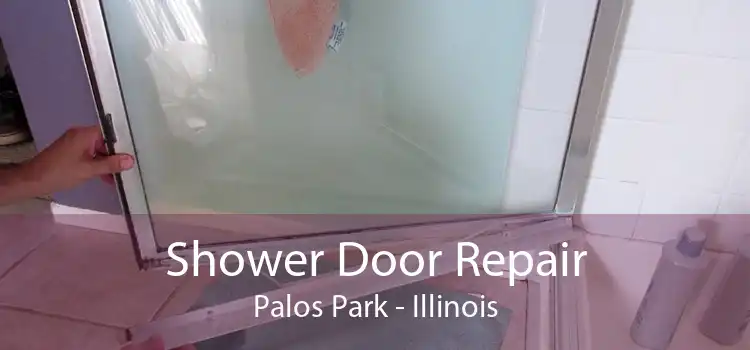 Shower Door Repair Palos Park - Illinois