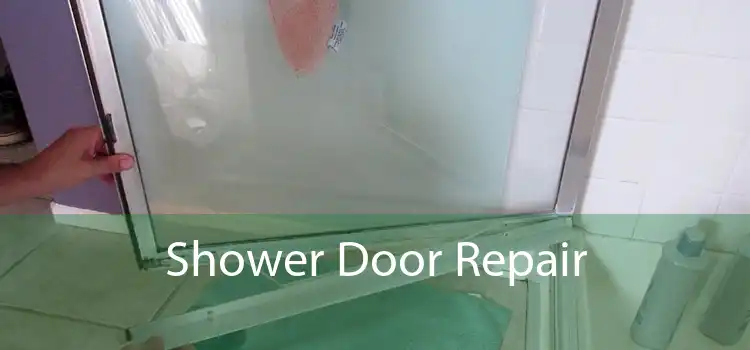 Shower Door Repair 