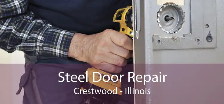 Steel Door Repair Crestwood - Illinois