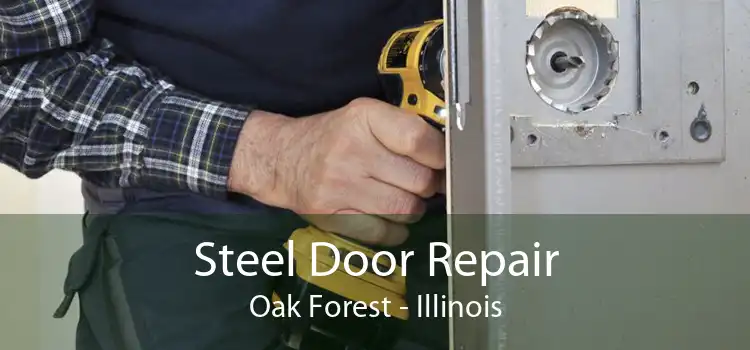 Steel Door Repair Oak Forest - Illinois