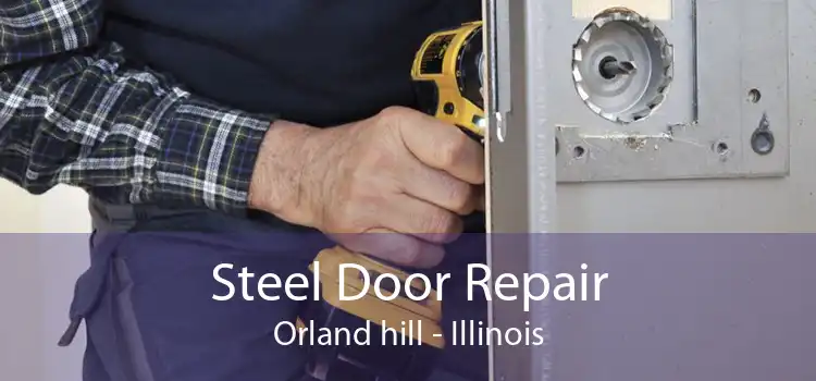 Steel Door Repair Orland hill - Illinois